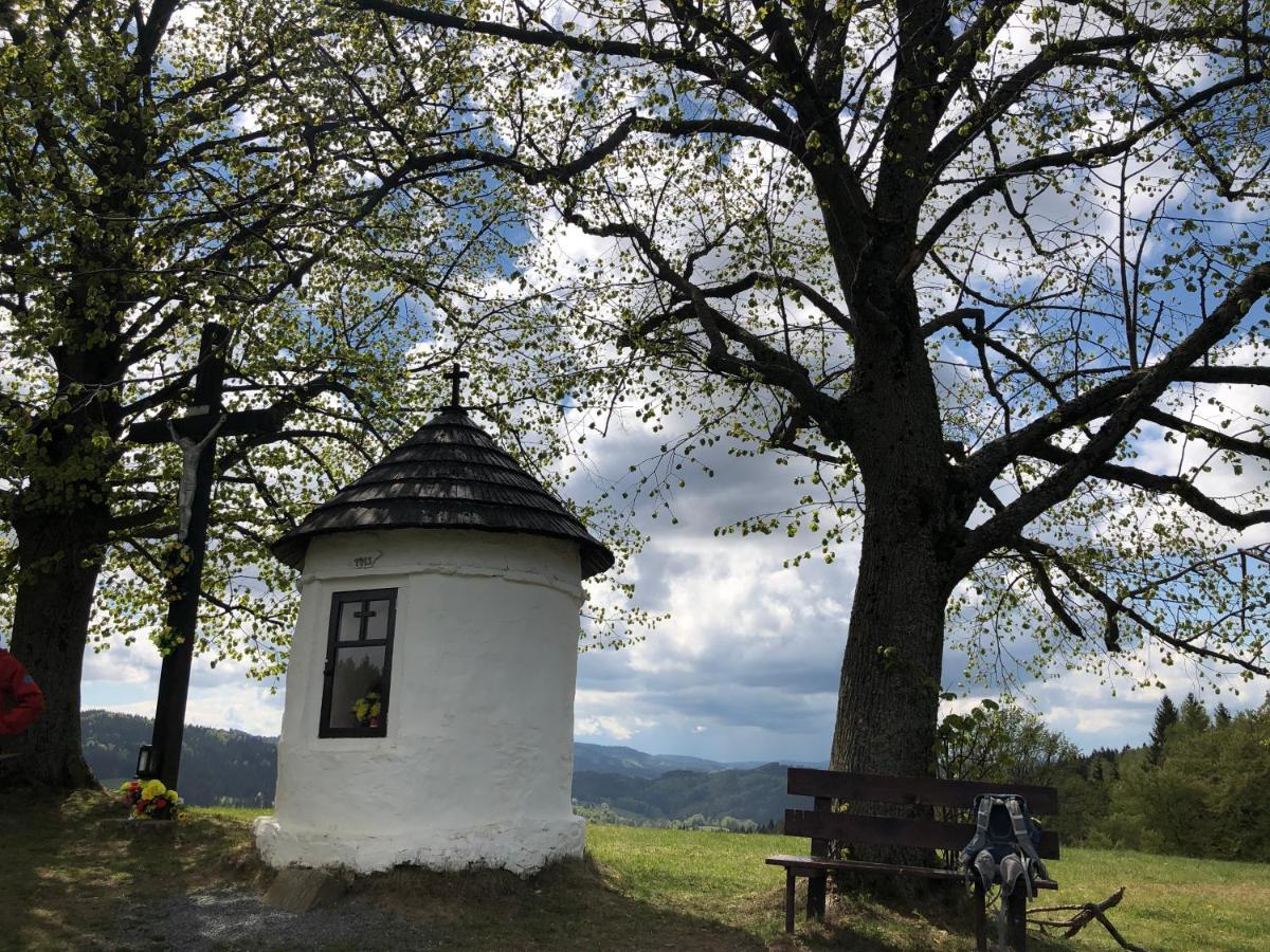 Horská chalupa Pluskovjanka Velké Karlovice Esterno foto